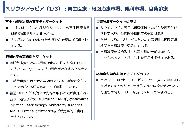 令和６年度「網膜再生医療の国内外の普及に向けた医療プラットフォーム構築事業」事業報告書